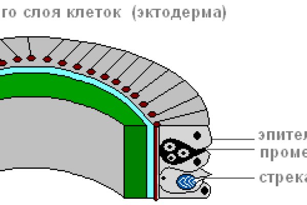 Официальный сайт даркнета